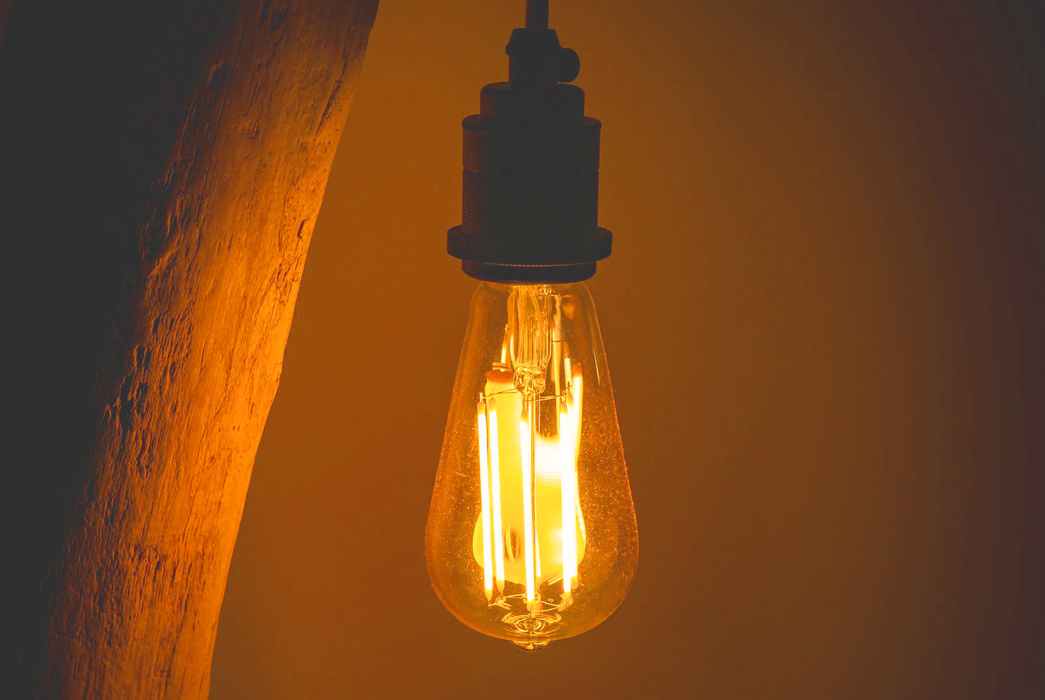 The Evolution of Light - Wellness Warriors
